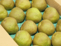 ����ŷƸ����ե�󥹣�kg16�̡�3L������̵����