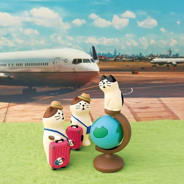 concombre（コンコンブル）旅猫 観察猫