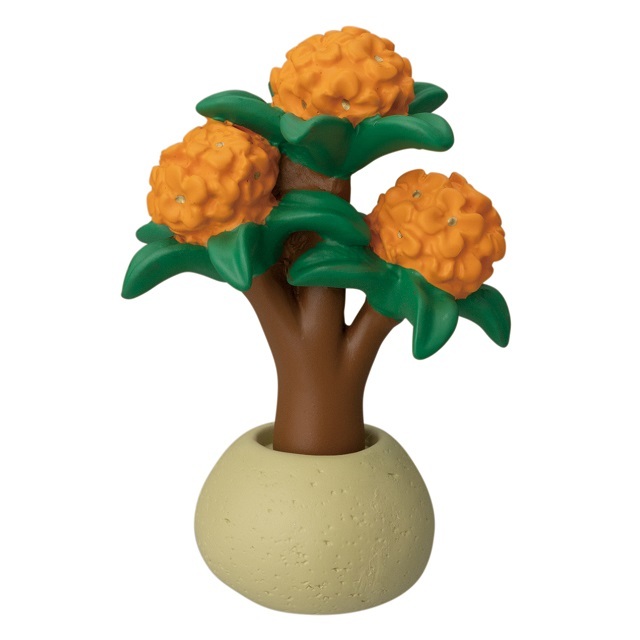 コンコンブル いこいの池 新品 concombre decole デコレ concombre