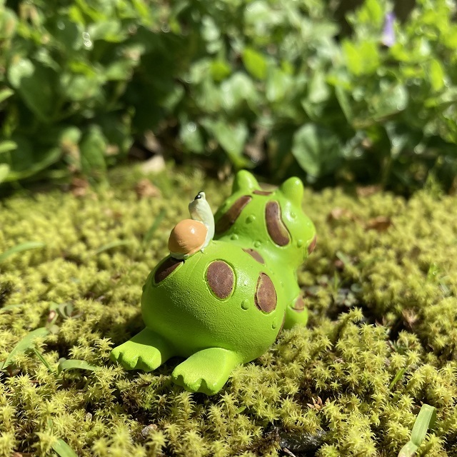 Copeau（コポー）雨音を聞くツノガエル