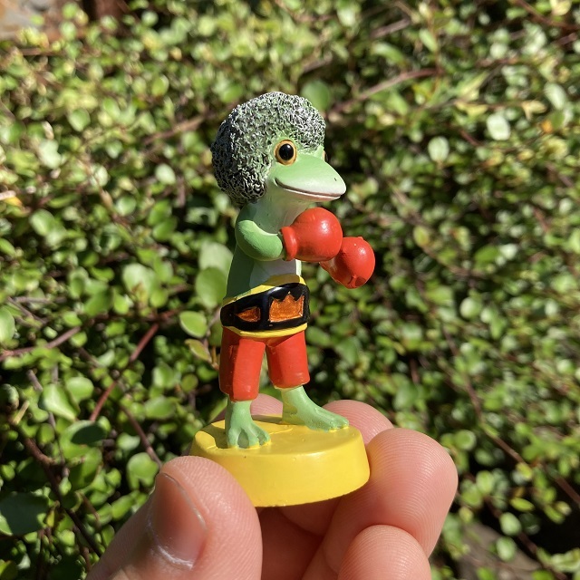 コポーボクサーカエル３