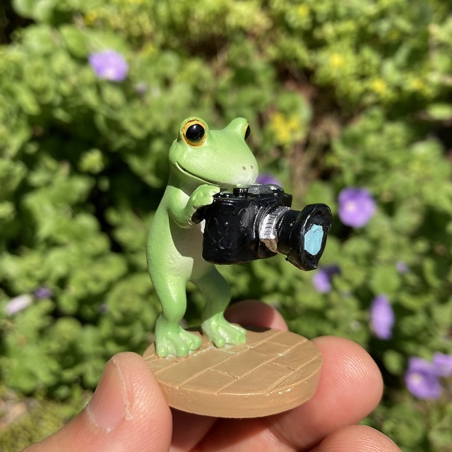 Copeau（コポー）カメラでパシャリ
