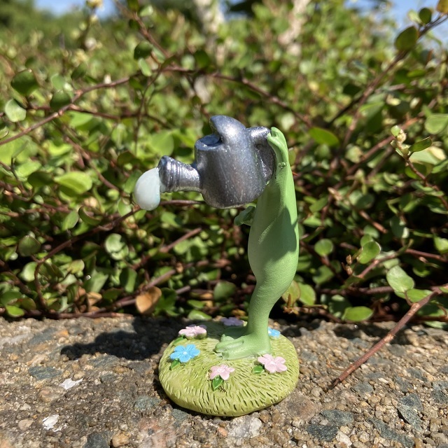 コポー水をかけるカエル３