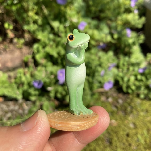 コポー様子をうかがうカエル３