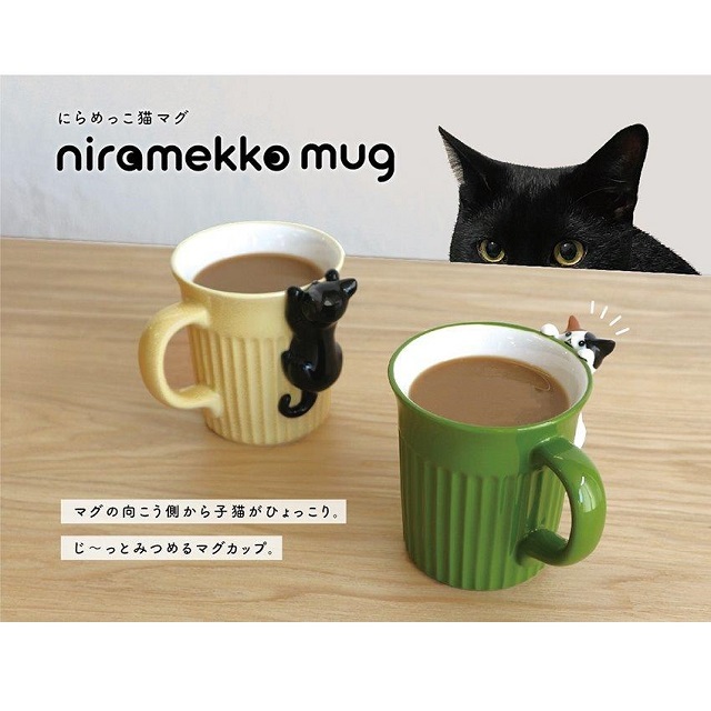 にらめっこ猫マグ