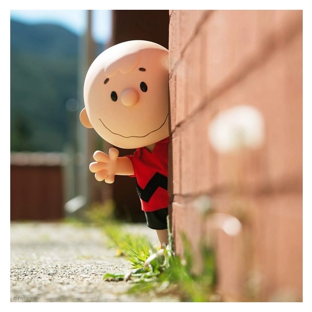 スーパー7 ピーナッツ スーパーサイズ チャーリー・ブラウン 送料無料」SUPER7 PEANUTS チャーリーブラウン 赤シャツ/スーパーサイズ