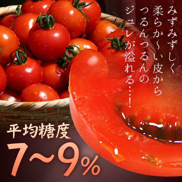 フルーツトマト_カート02