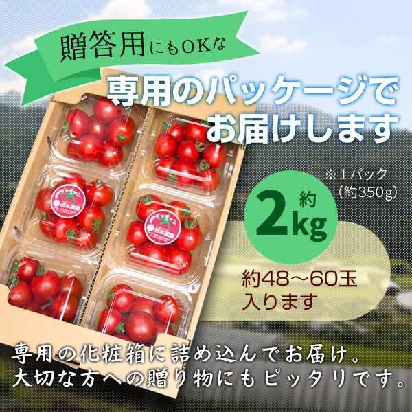 フルーツトマト_カート03