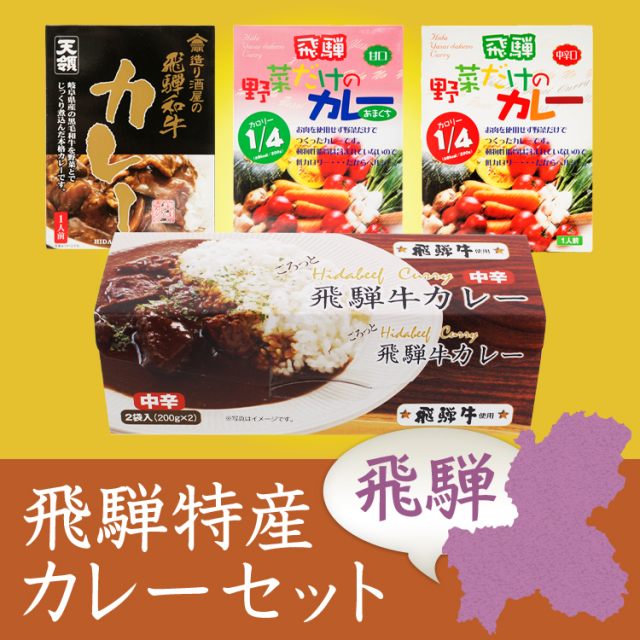 飛騨カレーセット_01