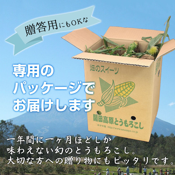 とうもろこし_カート03