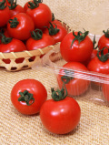 ۽�����ࡡ�ե롼�ĥȥޥȡ��ѥå���