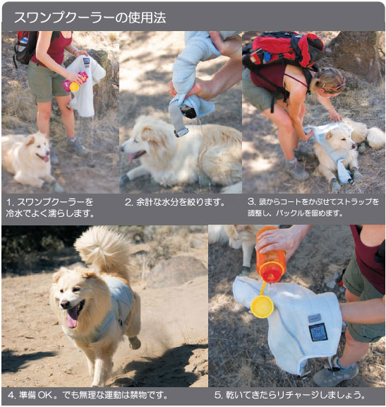 ��ե����������ѥ����륳���ȡ������ץ����顼