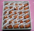���Ҥ��� ����������