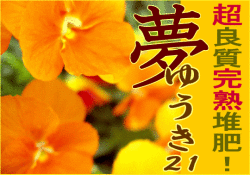 ̴�椦��21