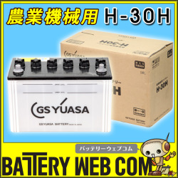 gb-h-30h