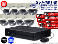 set481_8.jpg