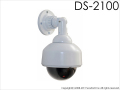 ds-2100.jpg