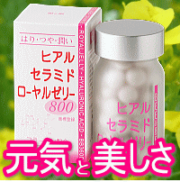 �ҥ��륻��ߥɥ�����를�꡼800