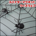 �ɳݤ� �ɥ��ݤ� / ���ѥ������ޥ��ͥåȥ�����������