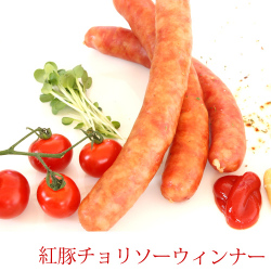 ���ڥ���꥽��������ʡ�
