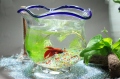 �ƤΥ��饹�������ꥦ�ࡡ�����ȭ��