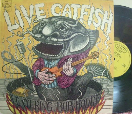 Catfish Hodge アナログレコード ビッグ・ビート・レコードではプログレッシブ・ロック