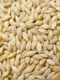 ���̤�����������100g