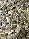 ���̤����ۤҤޤ�ꡡ1kg