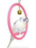 �ڥ��Х䥷�۴ݥ֥��