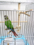 �ڥ��磻�ۥ���󥰥�ѡ������ᥤ�󥿥