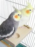 ��HOEI�ۤ������ơ��֥�L