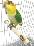 ��HOEI�ۻߤޤ��ڥ��ȥ졼��S15cmľ��20mm