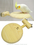 �ڥ��󥳡��ۤޤ�ޤ륹�ơ���