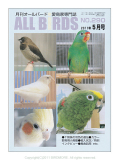 ��ͷ���ҡ�ALL��BIRDS��(������С���)��2011/5���