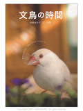 ����ʸƲ�����ҡ�ʸĻ�λ���