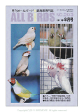 ��ͷ���ҡ�ALL��BIRDS��(������С���)��2011/8���