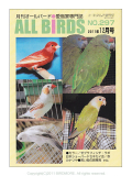 ��ͷ���ҡ�ALL��BIRDS��(������С���)��2011/12���