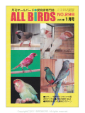 ��ͷ���ҡ�ALL��BIRDS��(������С���)��2012/1���