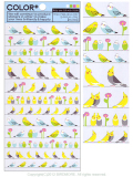 ��Q-LiA�ۥ�����COLOR+/��������������������61169