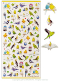 ��MIND WAVE�ۥ�����The party of parrots/��������������������74453