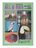 ��ͷ���ҡ�ALL��BIRDS��(������С���)��2012/4���