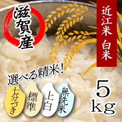 �Ṿ������5kg���������