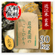 �Ṿ�Ƥ����Ҥ��� ����30kg