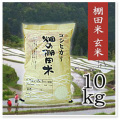 棚田米