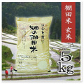 棚田米　コシヒカリ（玄米）/5ｋｇ