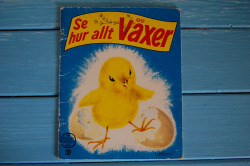 �¤λԤǤߤĤ���������ƥ��������ܡ�se hurallt vaxer