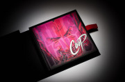 COOP�ʥ����סˡ�Idle Hands:The Art of COOP Limited Edition Set