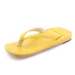 �¡���ë����ޥȥȥ������ˡ����̡�������롡HM1504��YELLOW����MADE IN JAPAN��