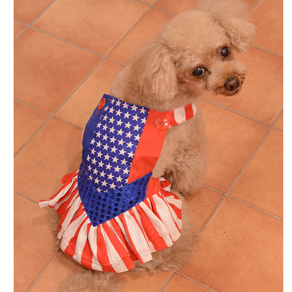 WonderDog_1.jpg