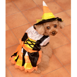 HalloweenCandyCornWitch_1.jpg